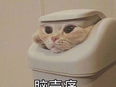 -宝湖海鲜酒家(西环店)