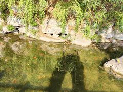 -玄武湖景区-情侣园游乐场