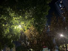 -柳州肥姨妈大骨螺蛳粉(万达中心店)