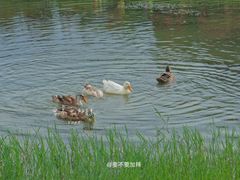 -两河城市森林公园