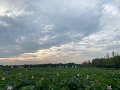 -嘉北郊野公园