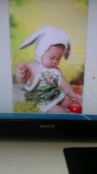 android_upload_pic-Happy Baby Studio快乐宝贝儿童摄影