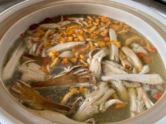 菌火锅-山菌美食苑(振兴路店)