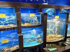 -上名堂·鱼头好吃(体育场路店)