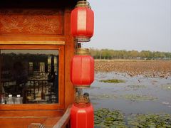 -天津东丽湖风景区