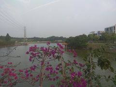 -中国移动南方基地