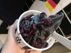 -JW德国冻酸奶Frozen Yogurt(龙湖成都滨江天街店)