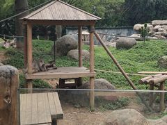 -广州长隆野生动物世界