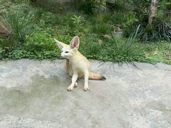 -乐和乐都主题乐园