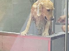 -宠福鑫康馨动物医院·骨科·眼科