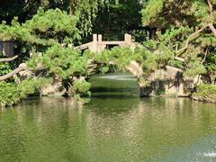-上海醉白池公园