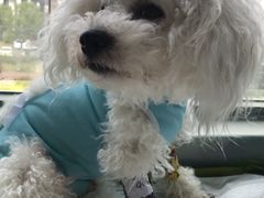 -康旭宠物医院(郑州总院)