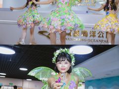 -南昌海洋公园