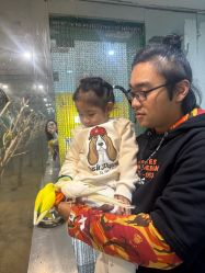 点击看大图 -神奇动物撸宠馆·羊驼·小浣熊·异宠(豫园店)