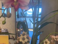 -施奈儿.洗头頭療.按摩SPA.采耳(上梅林店)