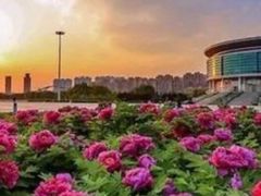 -国色天乡三期陆地乐园