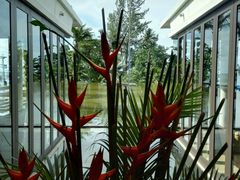 -普吉岛凯悦酒店