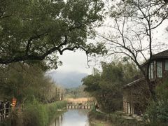 -宁海安岚·南溪阁全日餐厅