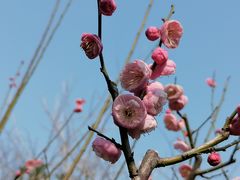 -尽峰攀岩 Acme Climbing