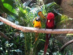 -杭州开元森泊度假乐园