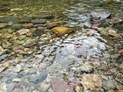 -溪口-滕头旅游景区