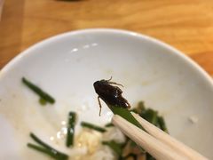 -顺德佬(石厦店)