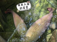 -青青世界