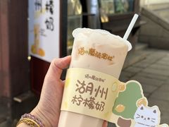 -猫的魔法密林(衣裳街店)