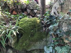 -绮园景区