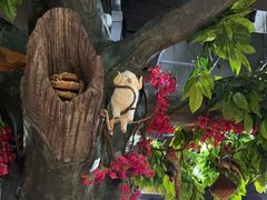 -草原塞蛮羊火锅城(港湾店)