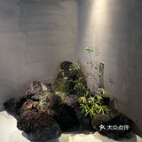 幽静空间探险