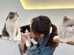-共舞时光猫咖·狗咖(新街口店)