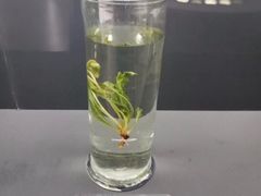 景点-李时珍纪念馆