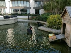 -行者书屋大堂吧 ·下午茶(南京圣和府邸酒店)