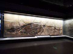 -贵州省地质博物馆