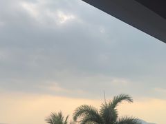 -日落吧·海景咖啡厅·餐酒吧·鸡尾酒·下午茶·乐队表演·浪漫夕阳·三亚文华东方酒店