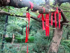 -黄公望隐居地