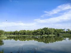 -贡湖湾湿地公园