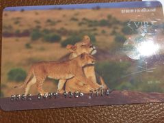 -好利来(熙地港店)