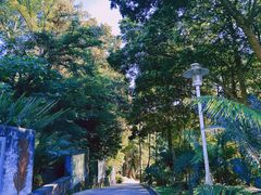 -深圳仙湖植物园