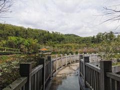 -大屏嶂森林公园