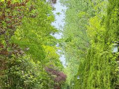 -合肥三国新城遗址公园