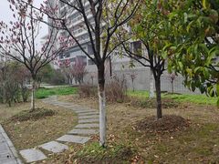 -江南大学(蠡湖校区)