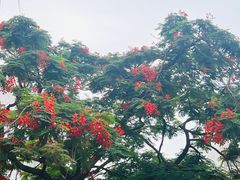 -壹只卤鹅·潮汕菜(莲塘店)