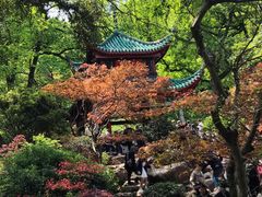 -岳麓山风景名胜区