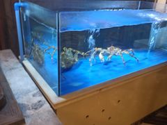 -三六三杭州菜(水上总店)
