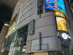 -乐天免税店(明洞店)