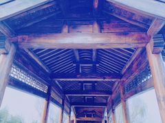 -兰陵国家农业公园