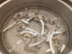 -椰子营·椰子鸡火锅(万象里店)