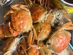 -四海蒸鲜蒸汽海鲜自助(北戴河店)